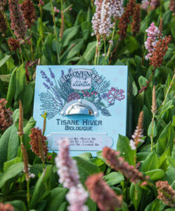 Tisane Hiver - økologisk glutenfri og vegansk urtete