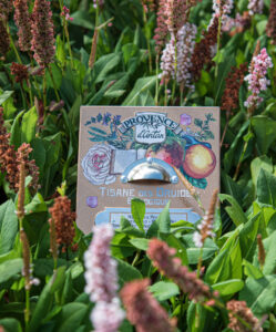 Tisane des druides - Druide urtete