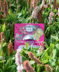 Tisane Fruits des bois Skovbær urtete